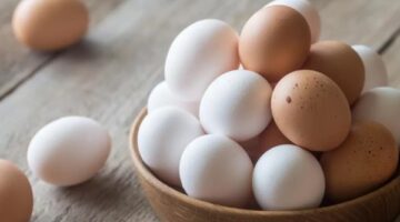 انخفاض أسعار البيض اليوم السبت .. اعرف الكرتونة وصلت كام؟
