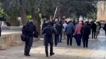 وسط حراسة من قوات الاحتلال.. مستوطنون يقتحمون المسجد الأقصى المبارك خلال رابع أيام عيد الفصح العبري