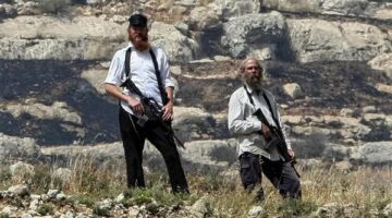 مستوطنون يقتلعون أشجار زيتون ويعتدون على ممتلكات المواطنين بمسافر يطا بالخليل