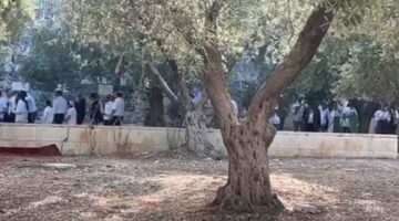 مستوطنون يقتحمون باحات الأقصى بحماية قوات الاحتلال