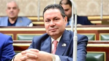 النائب هشام الحصري يدافع عن المزارع داخل البرلمان.. مواجهة قوية مع وزارة قطاع الأعمال حول أزمة القطن