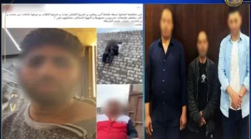 الداخلية تنفي اقتحام قوة أمنية أرض مخصصة لإيواء الحيوانات الضالة بالقاهرة
