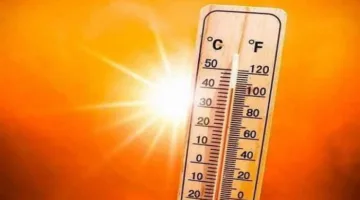 الأرصاد الجوية: درجات الحرارة ستعود إلى مستوياتها الطبيعية حتى منتصف الأسبوع القادم