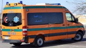 طفل يتعرض للإصابة بعد سقوطه من ارتفاع على جذع شجرة في قرية المشرك بالفيوم